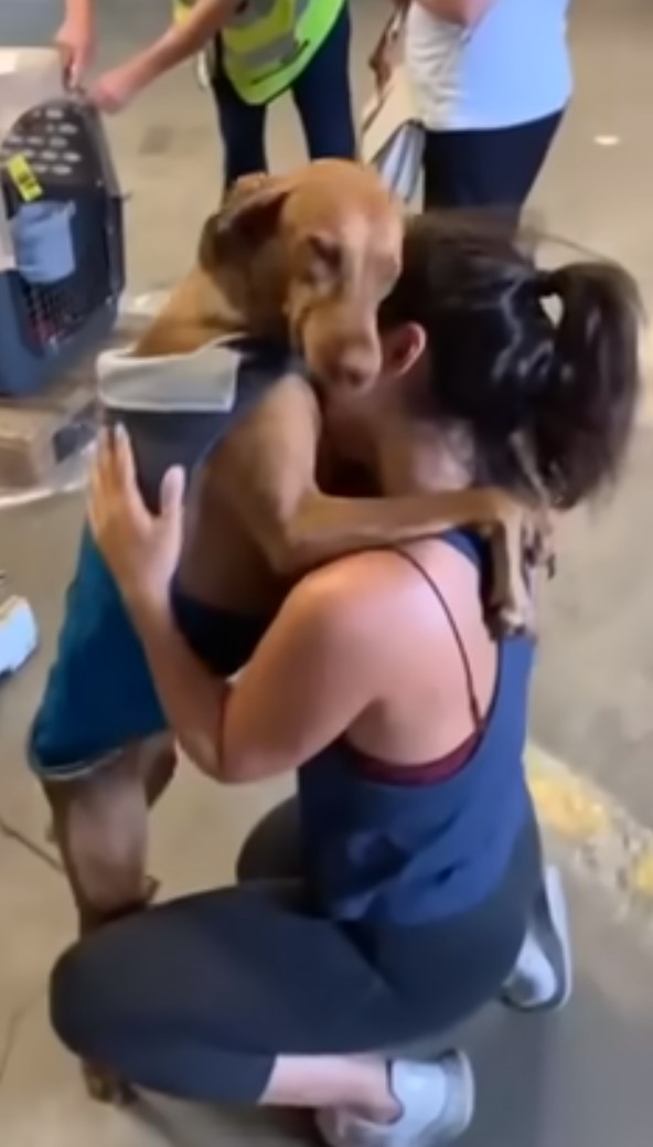 dog hugging the woman