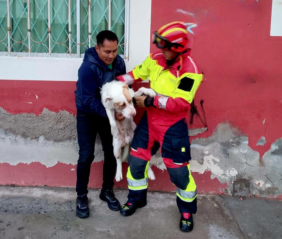 fireman and a man holding dog