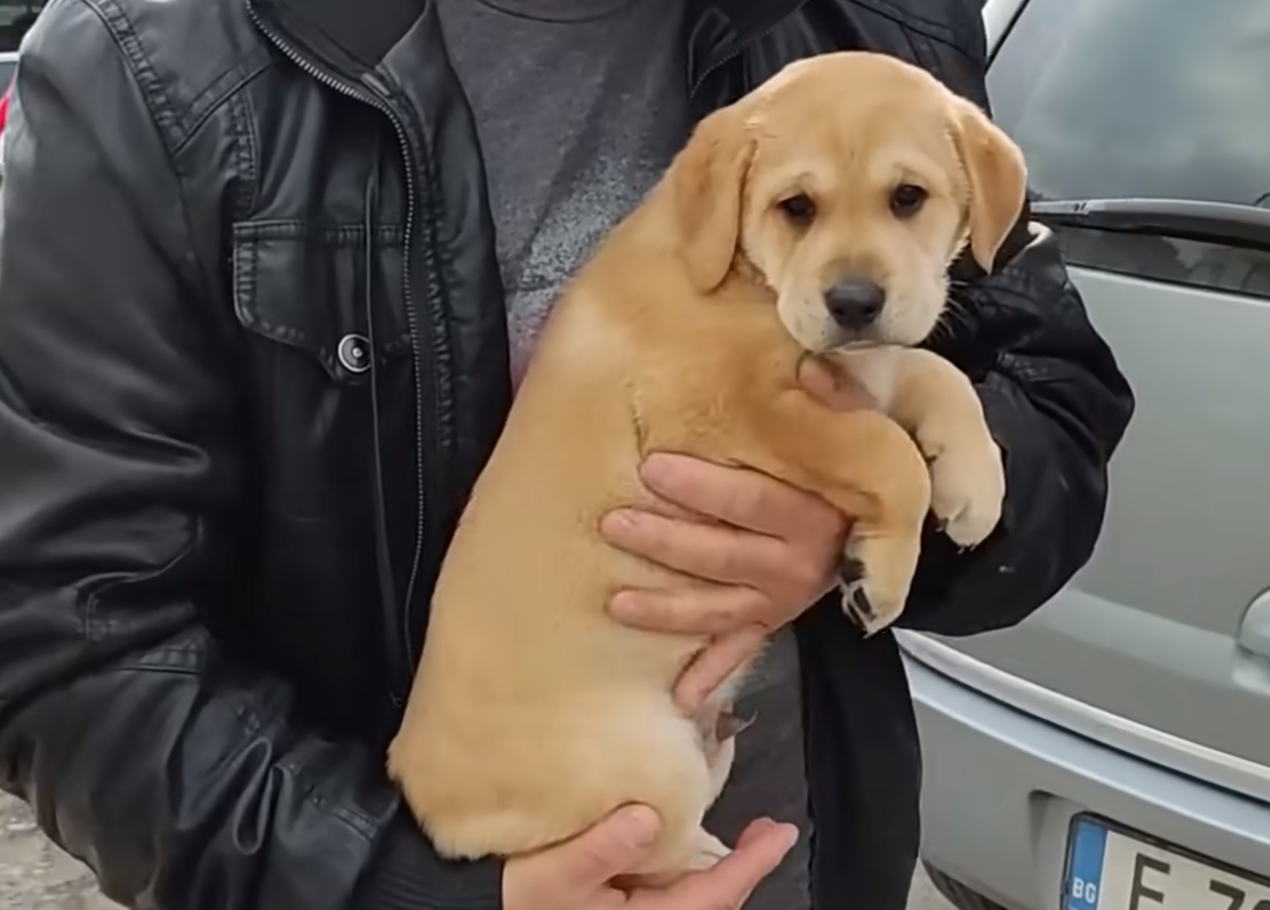 guy holding a an adorable puppy