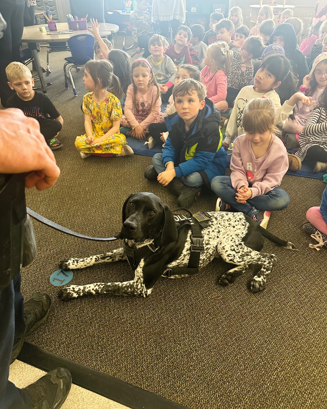 hero police dog at the daycare