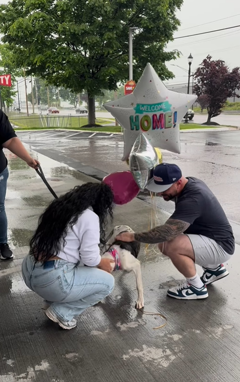 man and woman greeting the dog