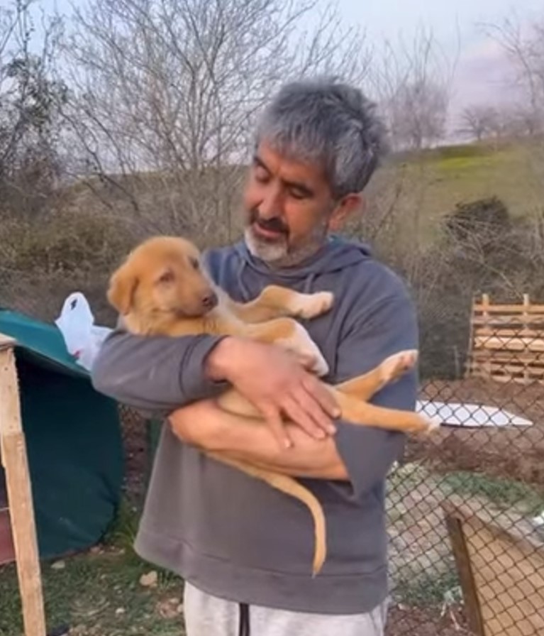 man holding puppy in hands