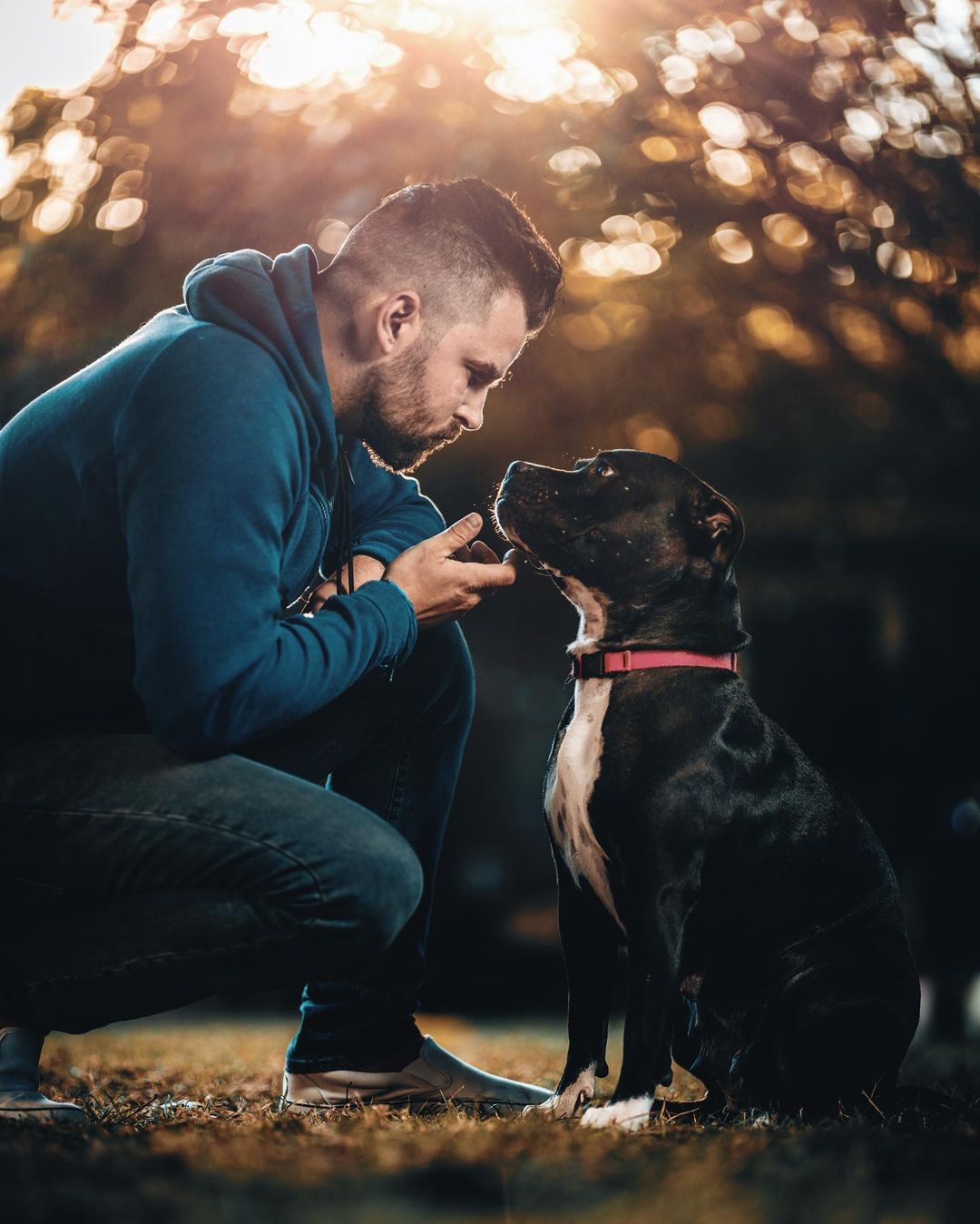 man kneeling in front of a dog
