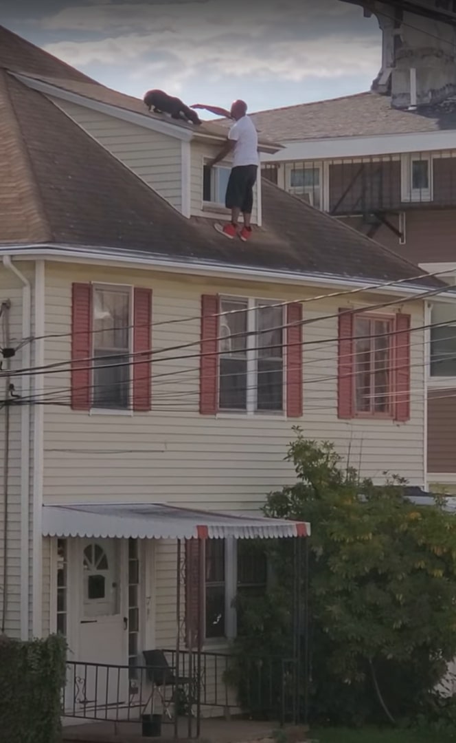 man trying to get dog on the roof