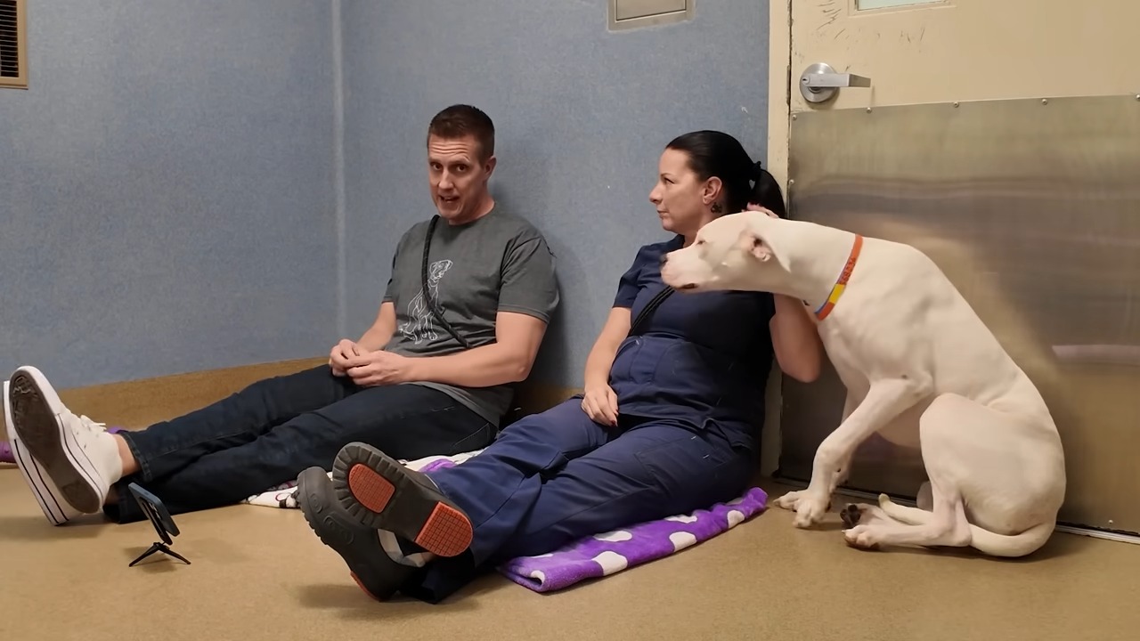 man woman and dog sitting on the floor