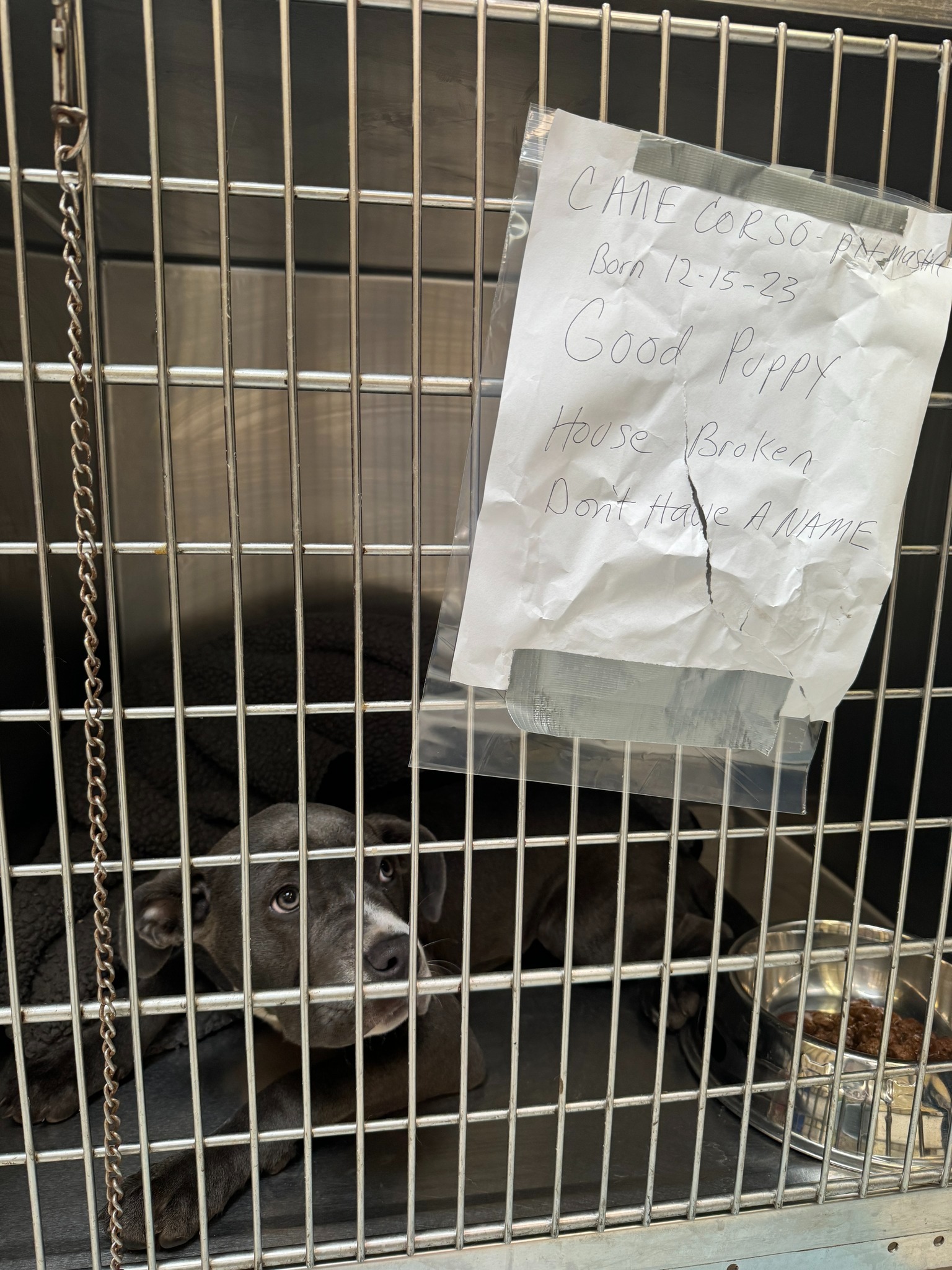 puppy in cage with note