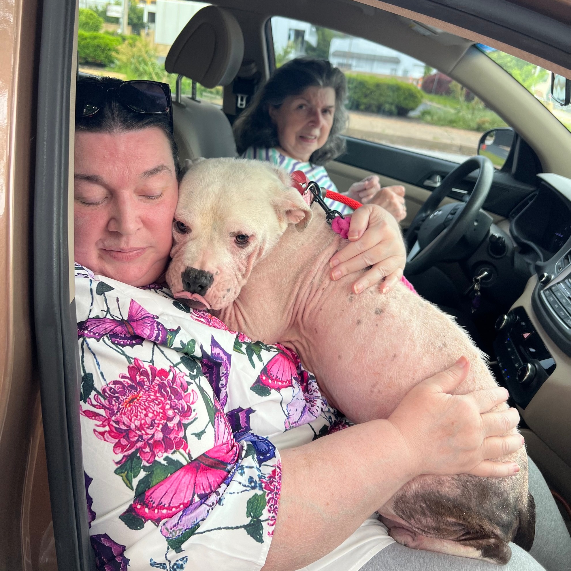 woman sitting in a car holding a dog