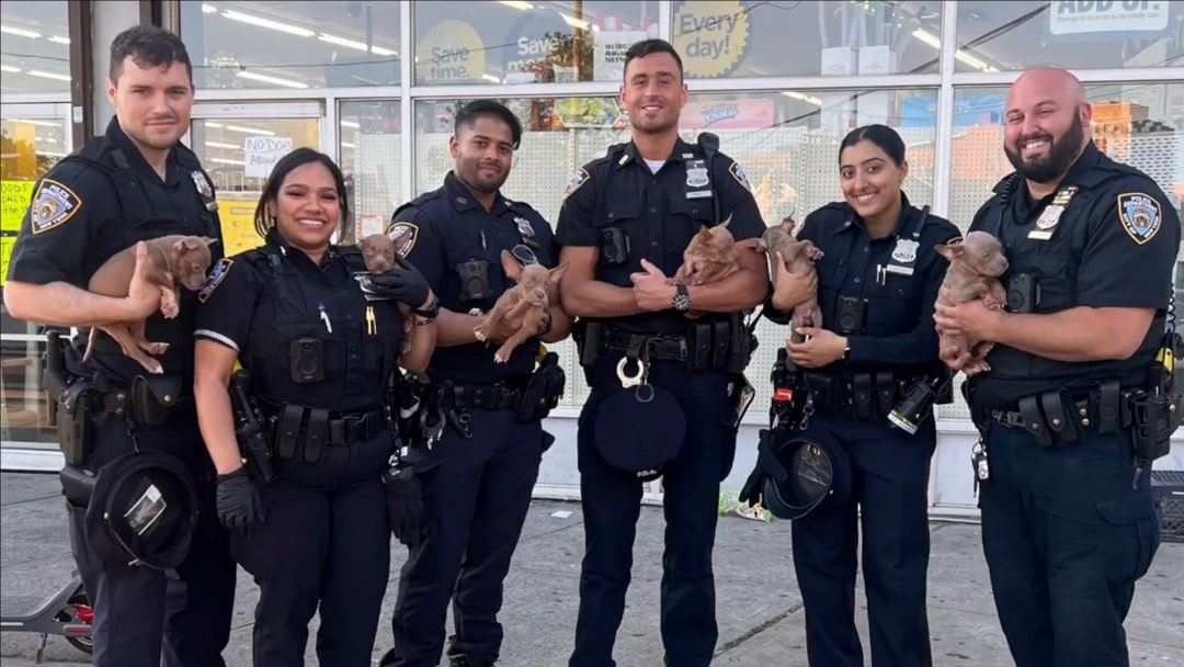 NYPD with puppies