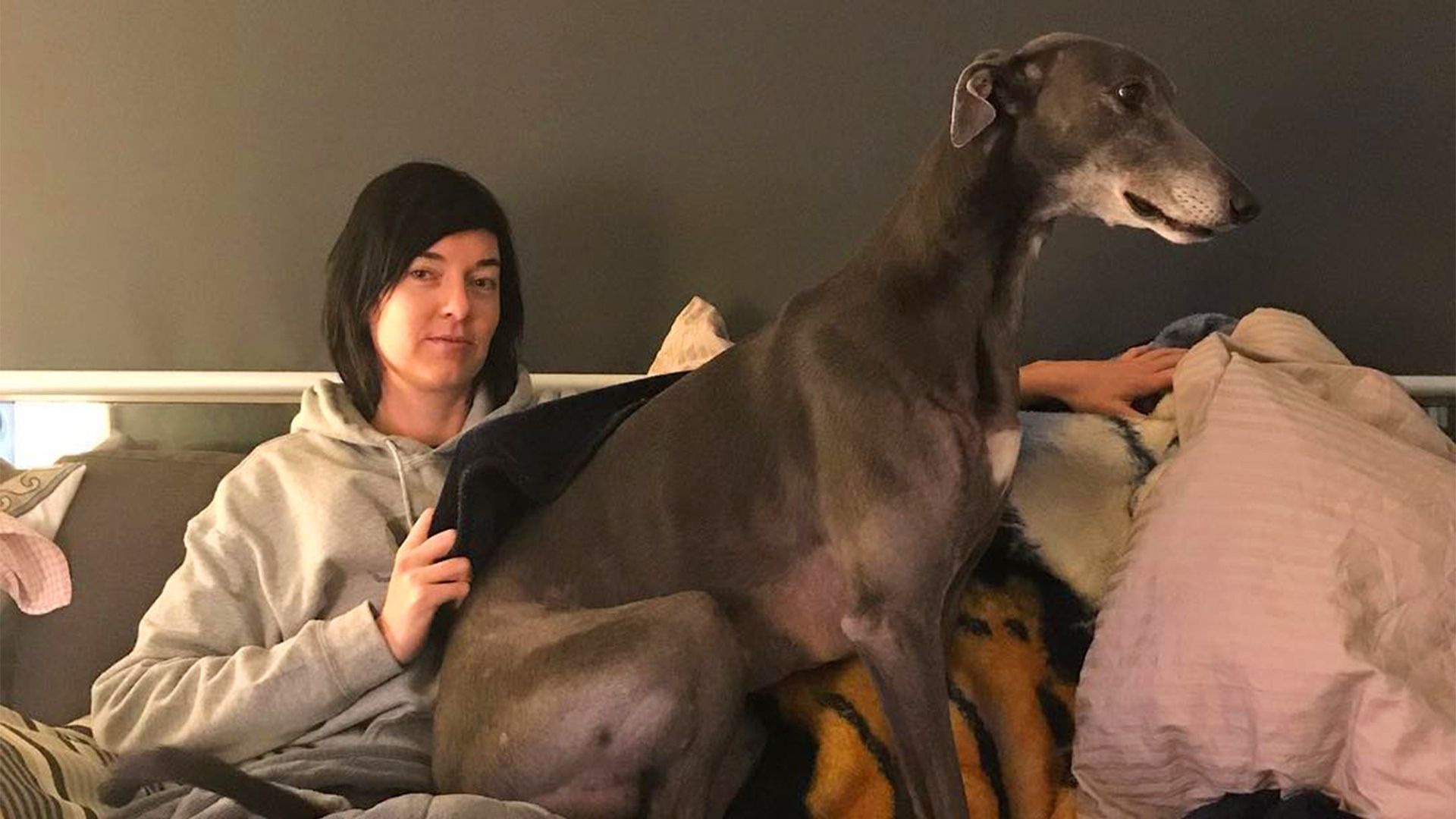 Racing Greyhound With A Broken Leg Was Abandoned By His Owners, Then Found The Perfect Family