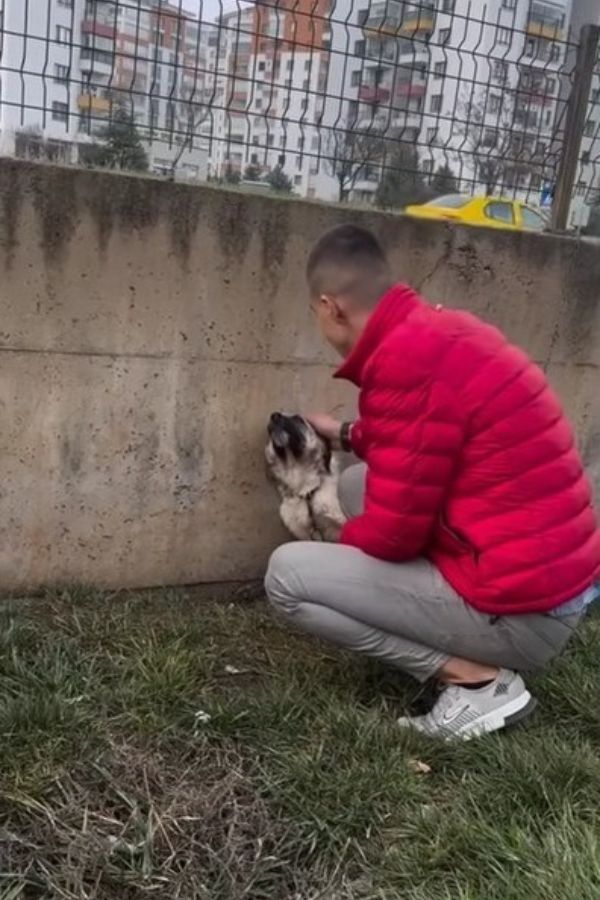 a man found homeless dog