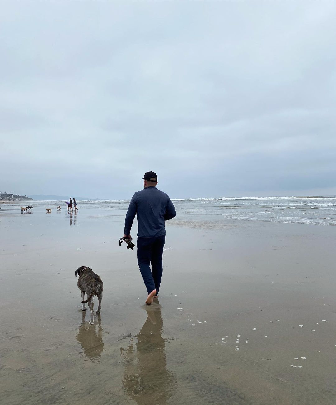 a man with dog on the beach