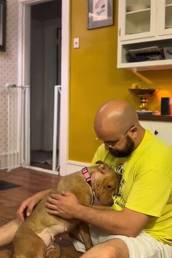 bald guy and brown dog