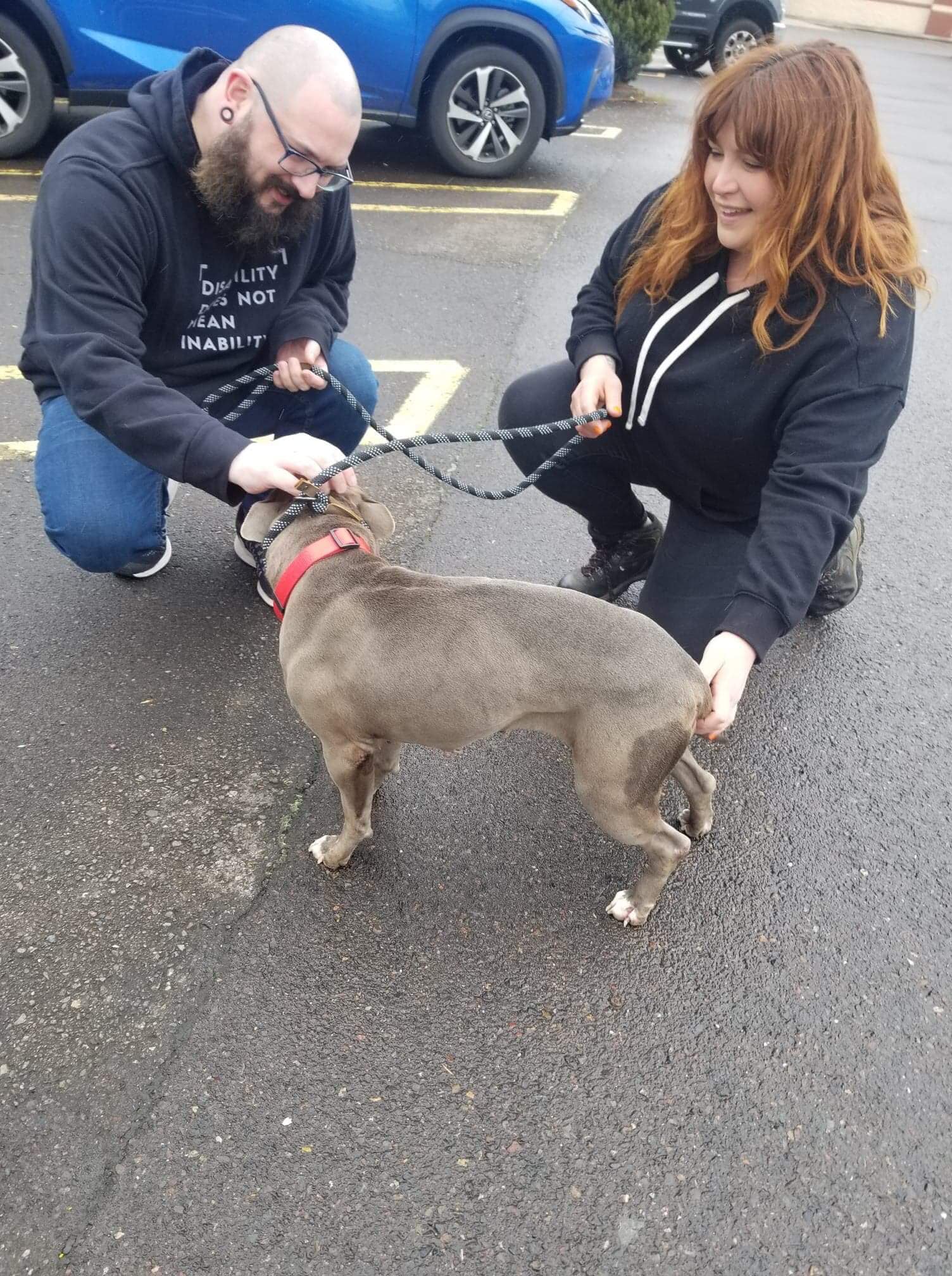 couple and beautiful dog