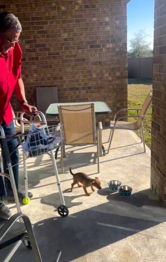 dog helping grandpa