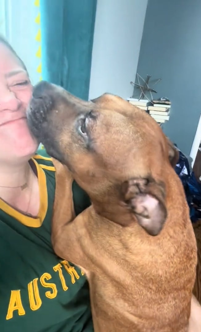 dog licking his owner
