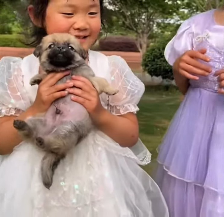 girl holding a pup