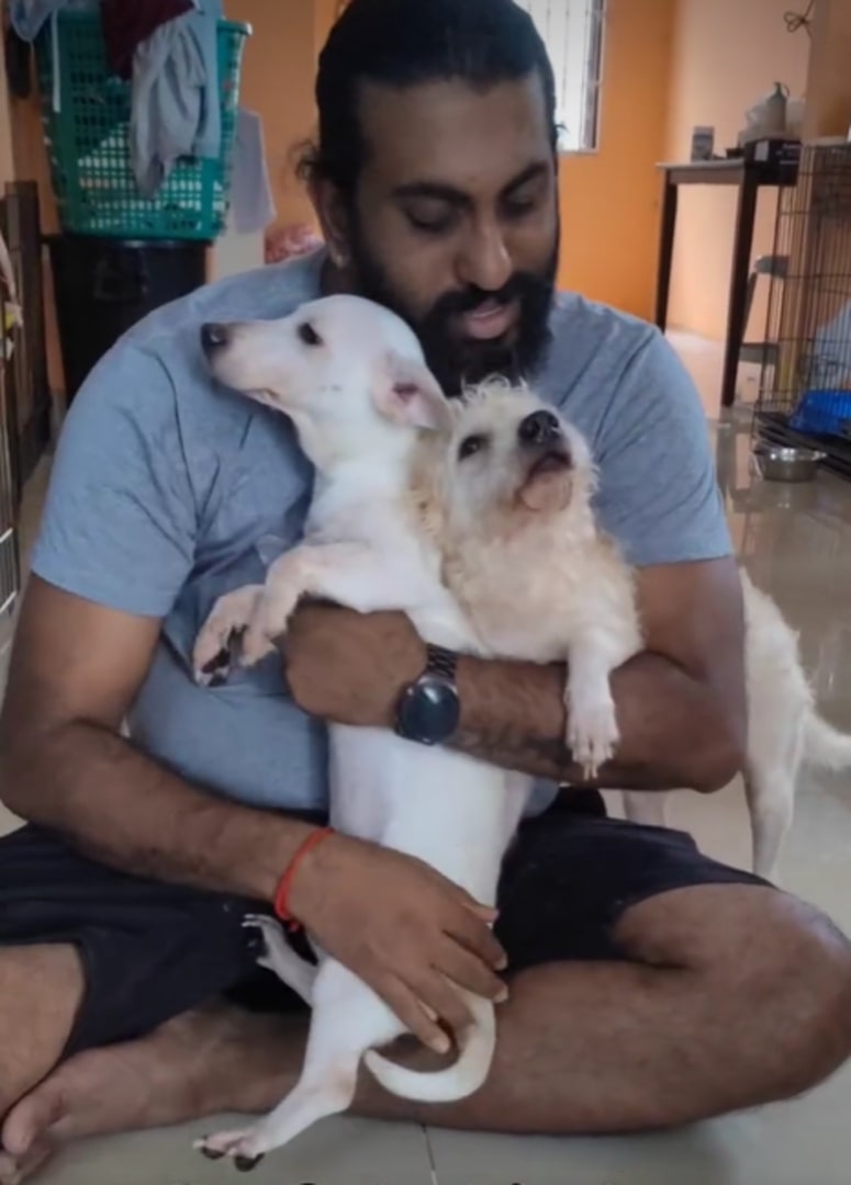 guy and two cute dogs