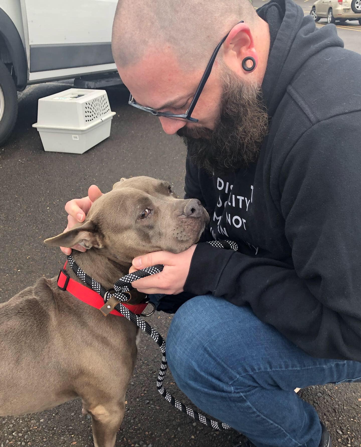 guy petting black dog