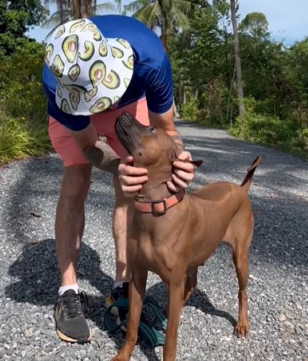 guy with hat and brown dog