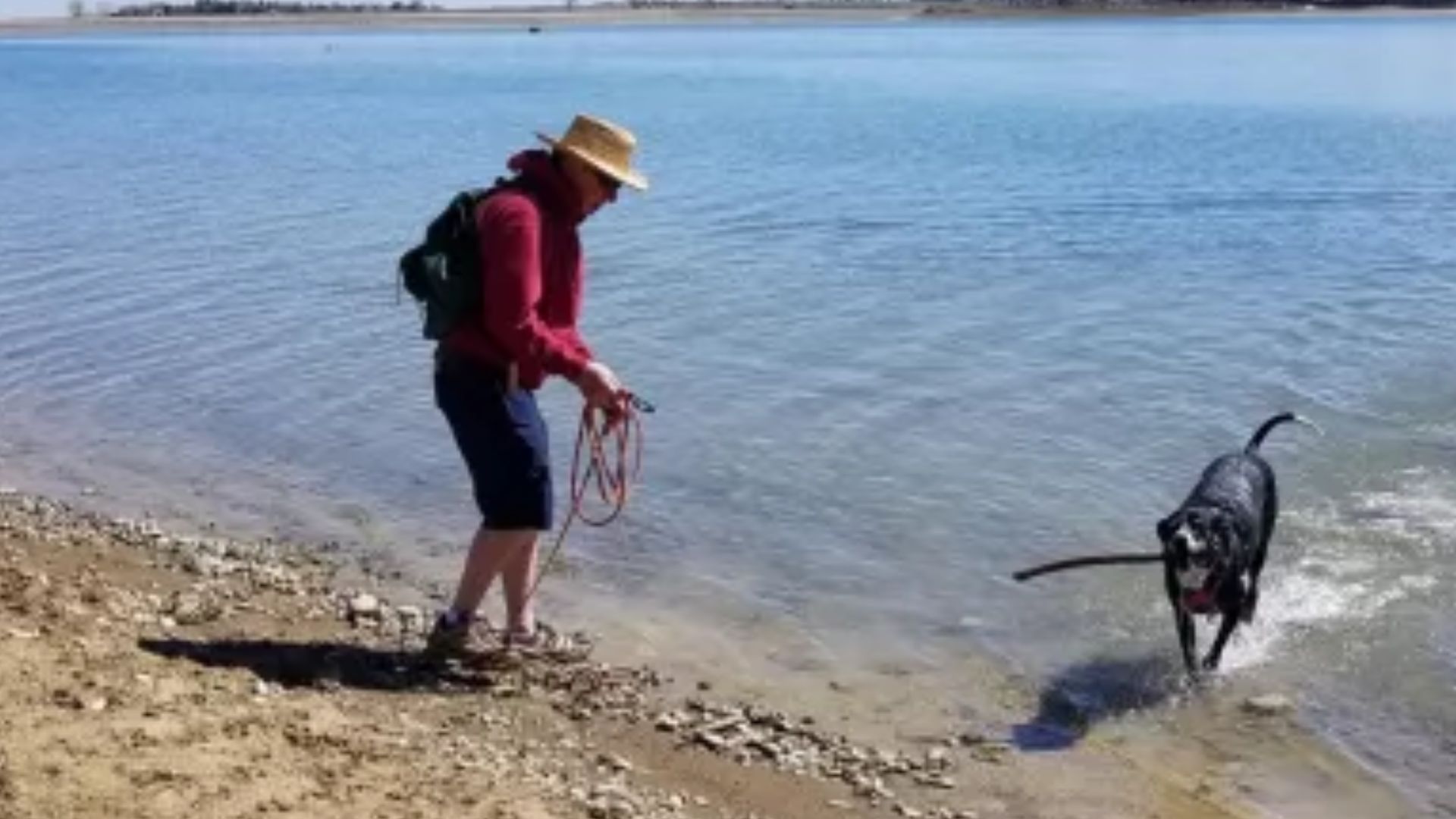 man and dog standing in water