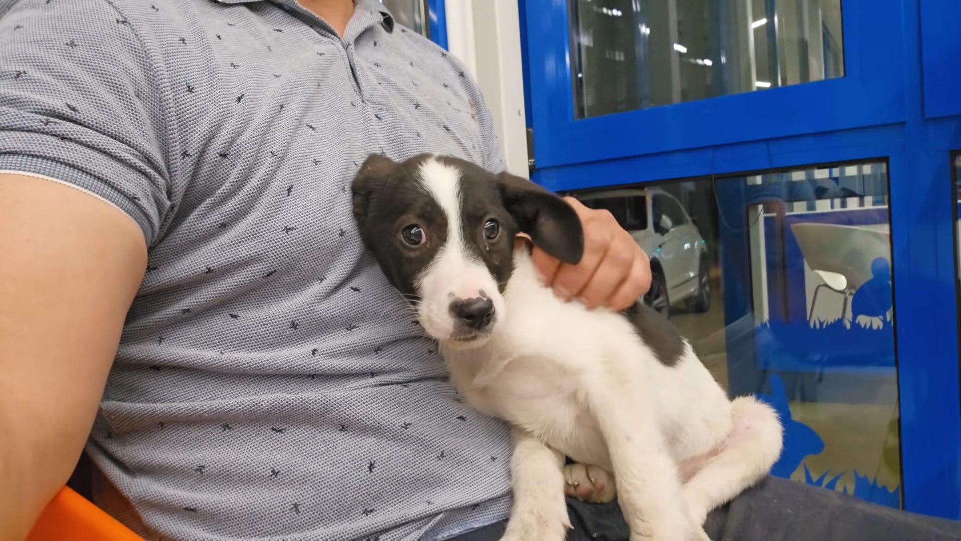 man holding scared dog