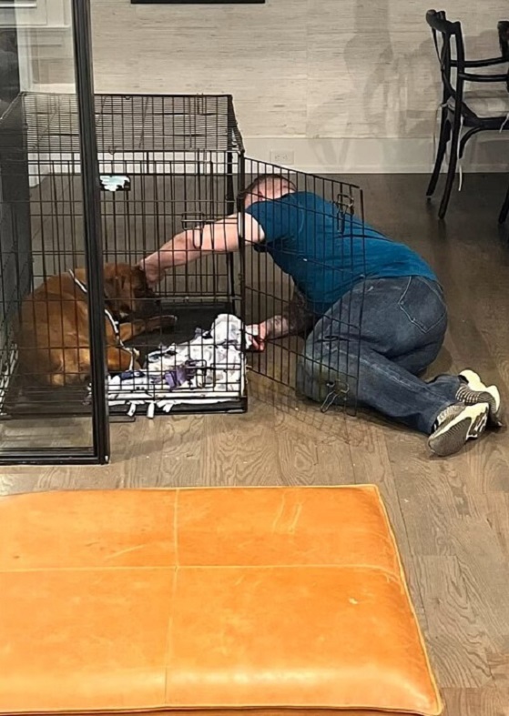 man petting dog in the kennel