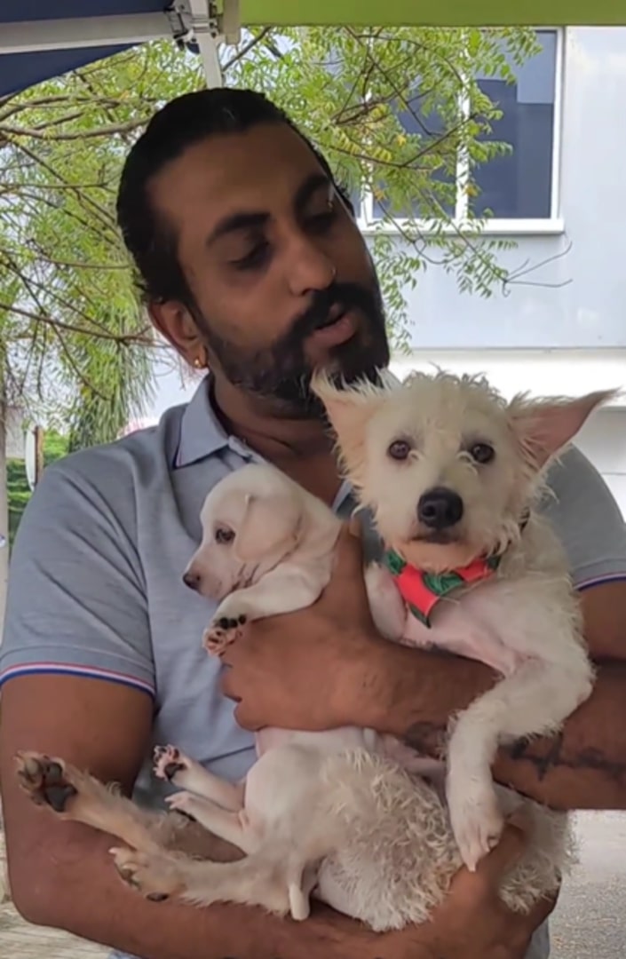 owner and two white dogs