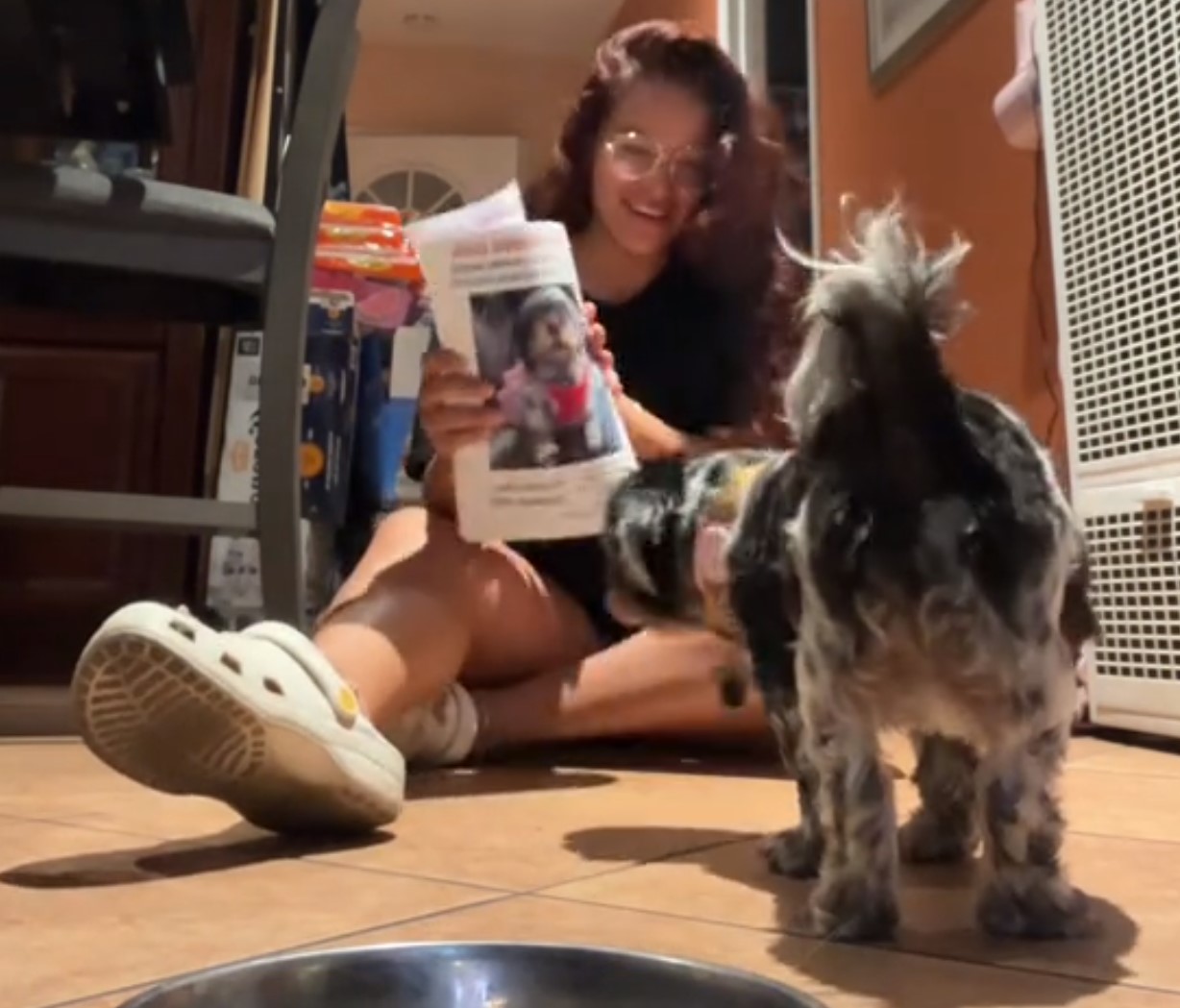 owner showing dog the posters