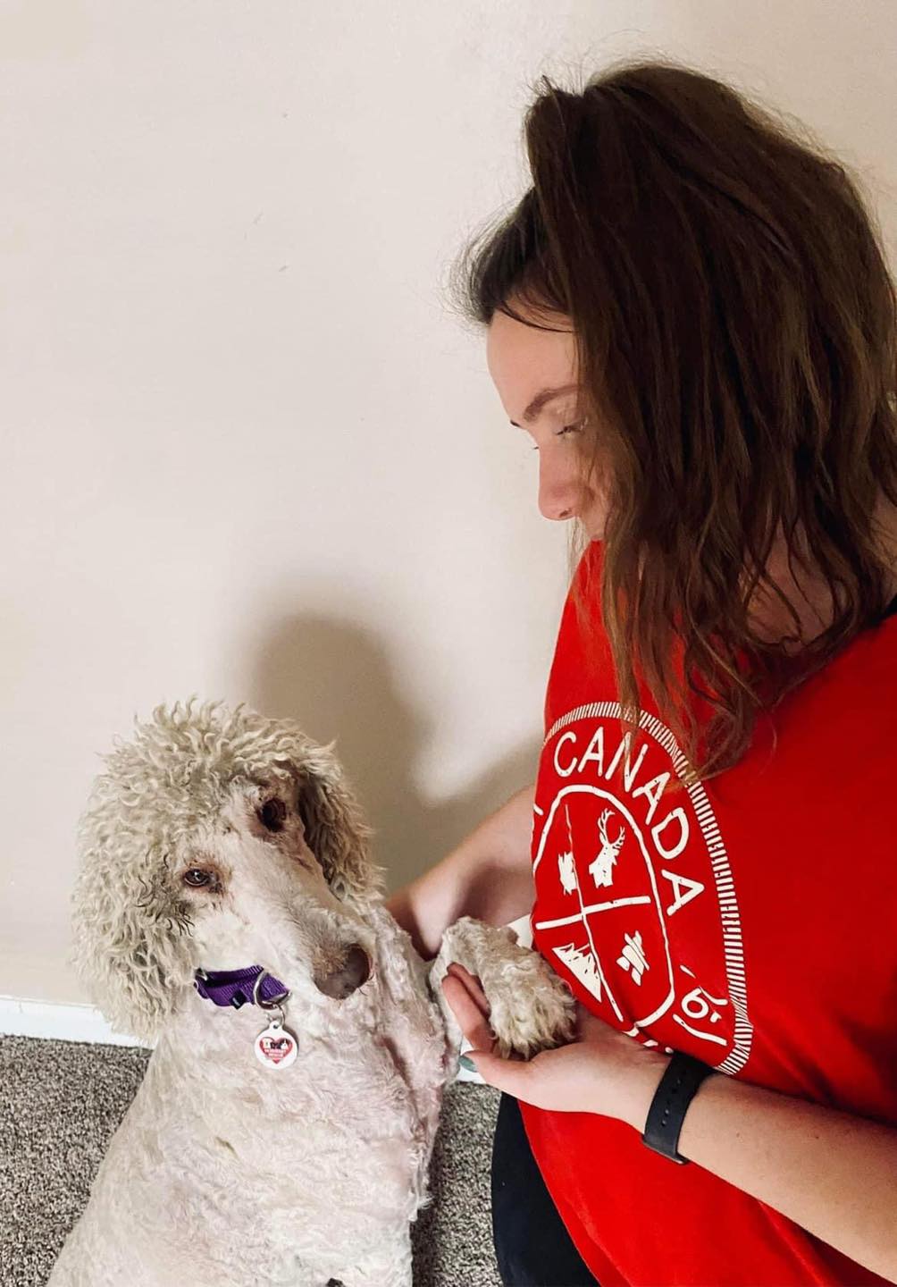 woman and a rescue poodle