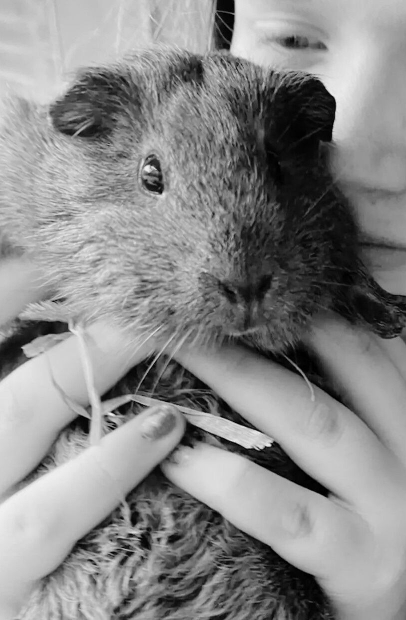 woman and guinea pig