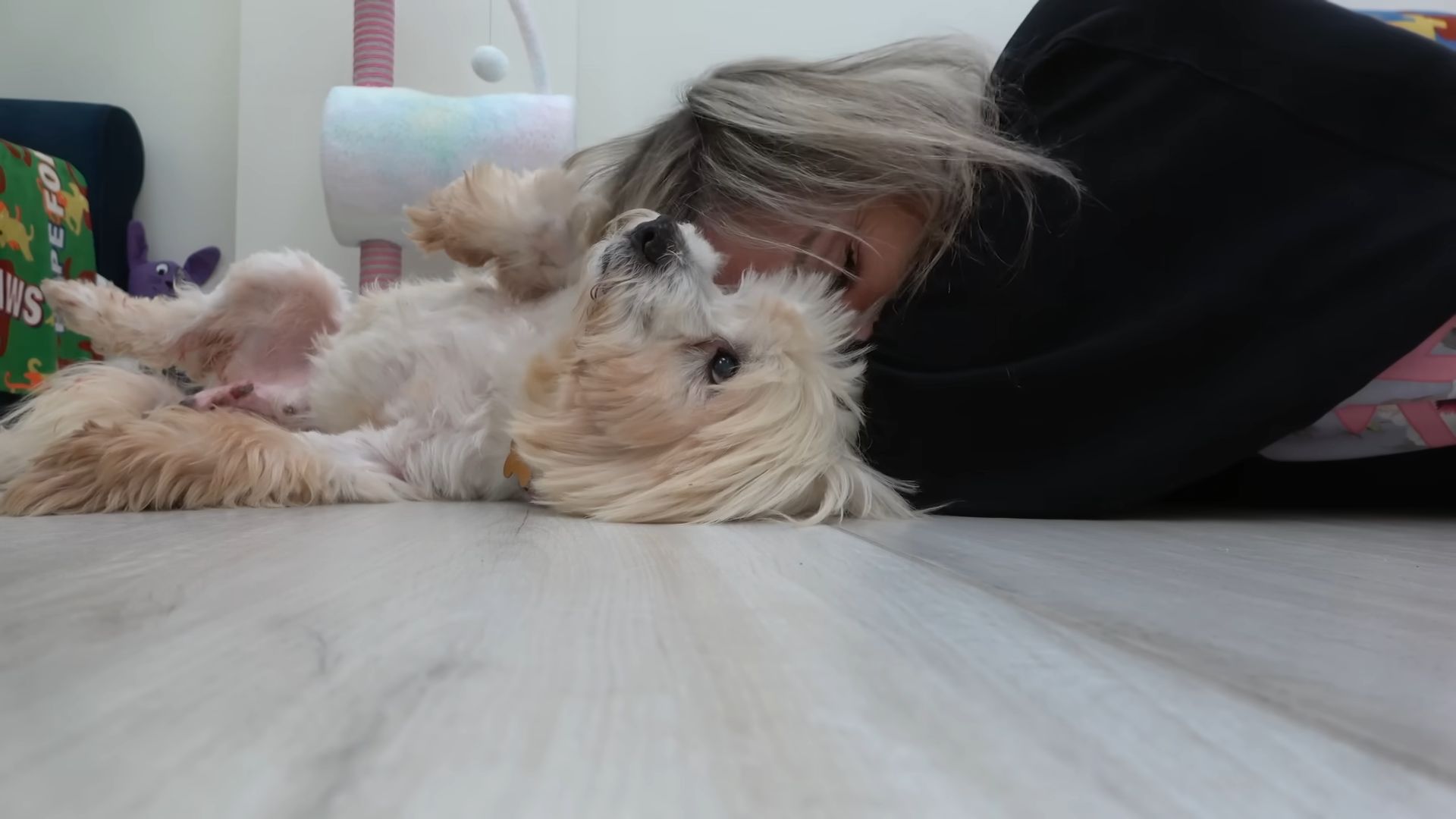 woman playing with cute dog