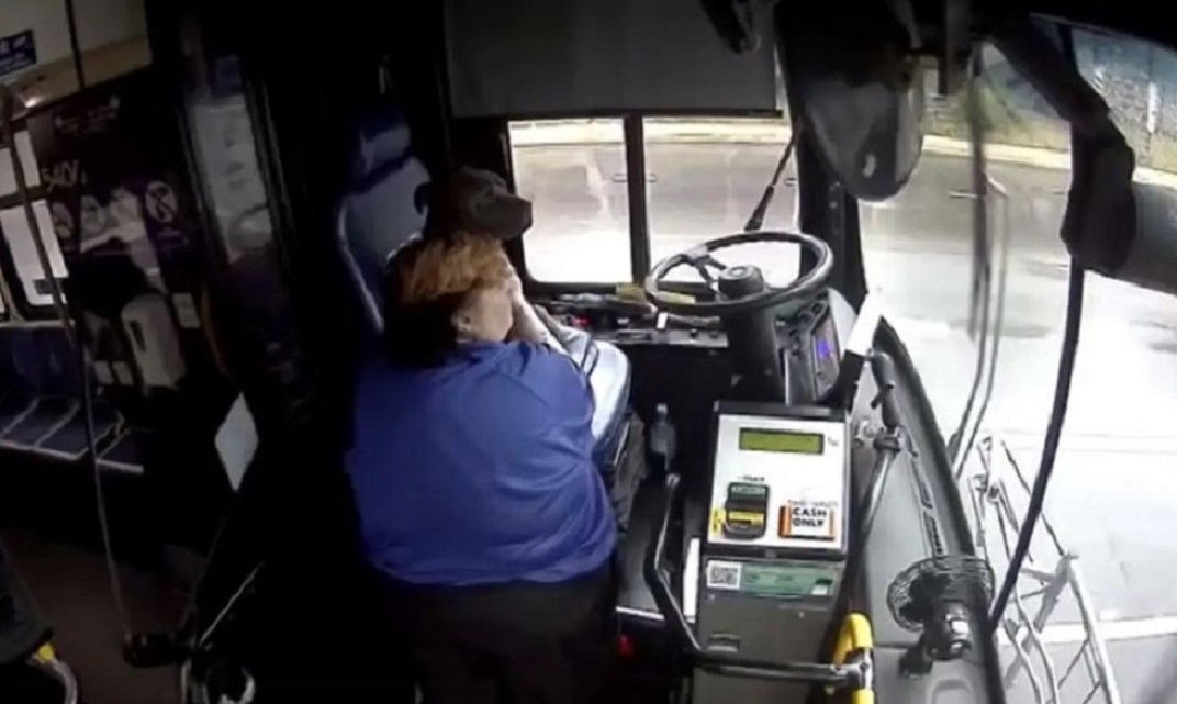 woman put dog in the bus
