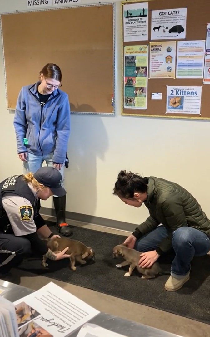 women with police officer and puppies