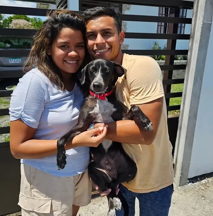 young couple holding a dog