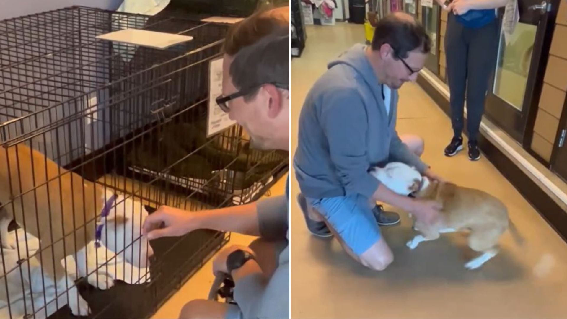 Blind Dog Returned To Shelter Twice Is Now Obsessed With Her New Dad