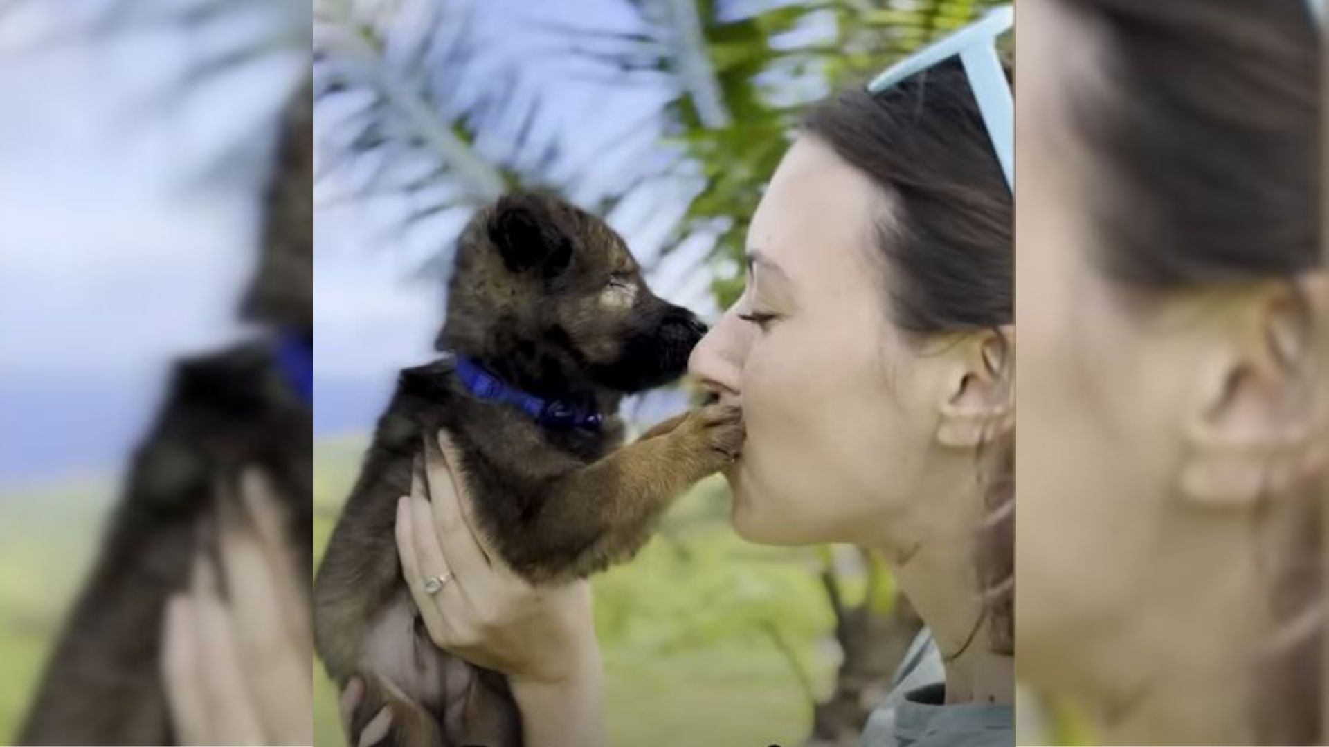 Hooman Became The Eyes For Her Blind Puppy And It’s the Cutest Thing Ever