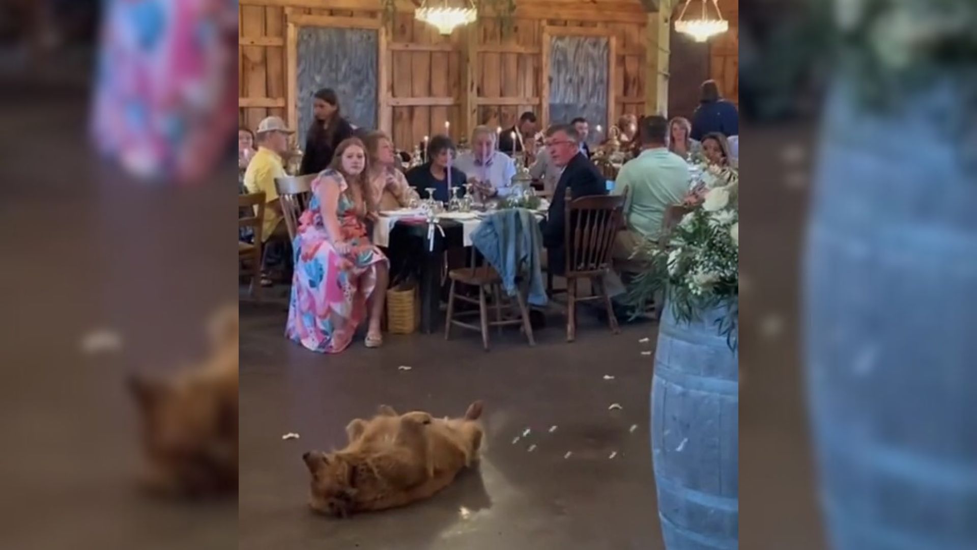 The Furry Fellow Crashes The Wedding And Has The Most Adorable Demand