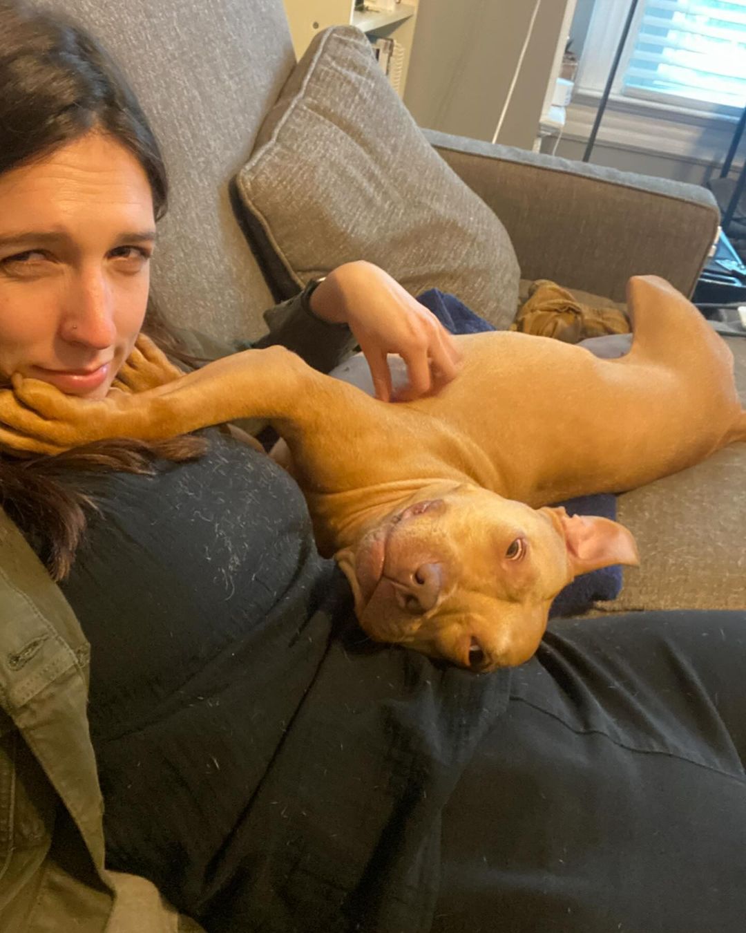 dog lying in woman's lap