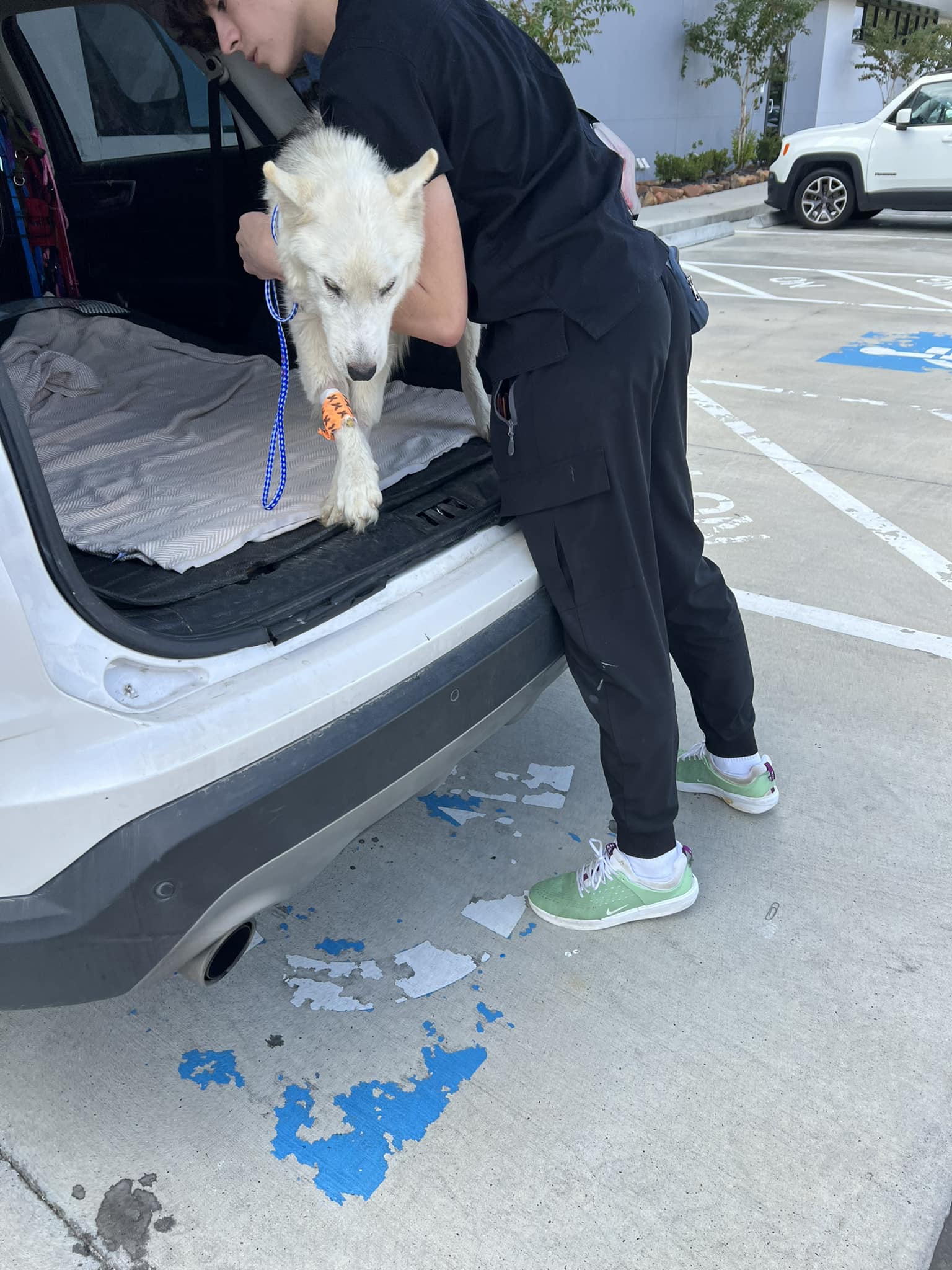 guy holding white dog