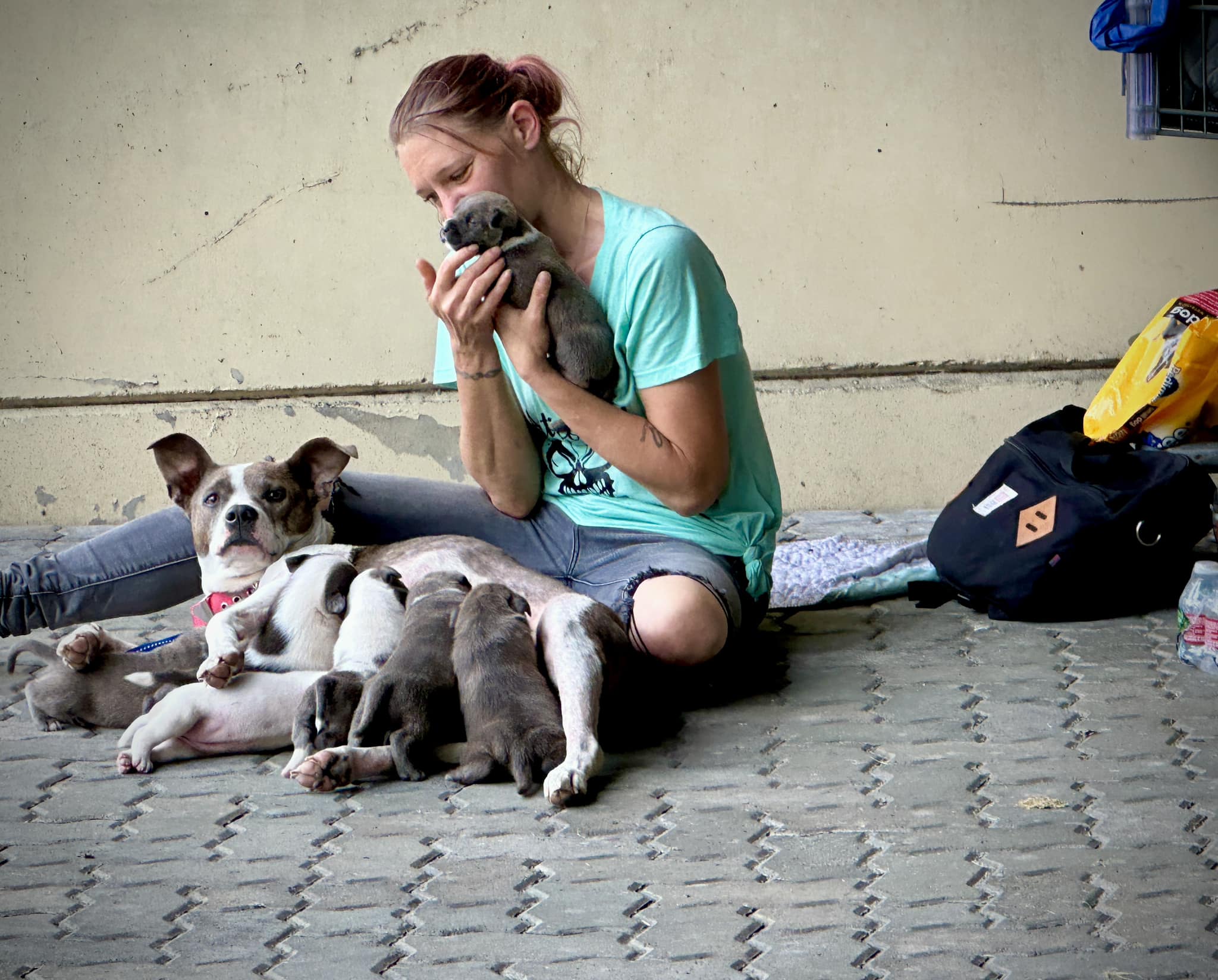 homeless woman and puppies