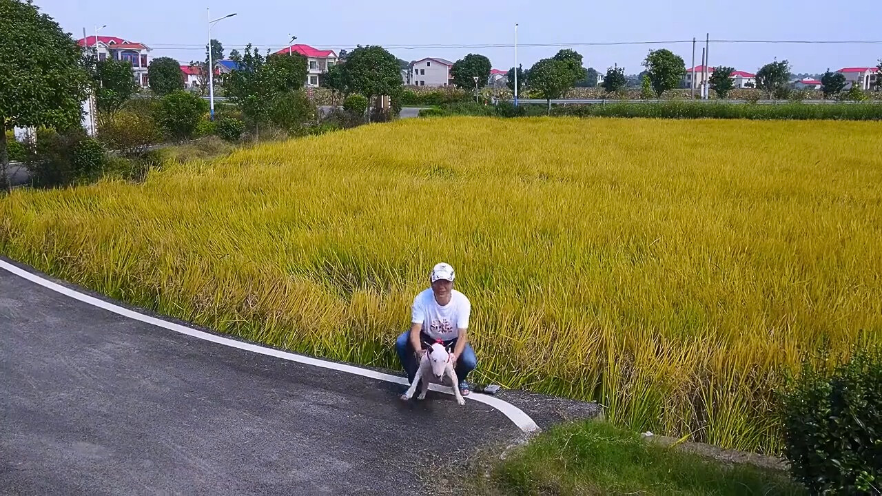 man holding a dog on the road