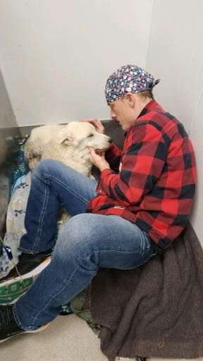 man with bandana and white dog