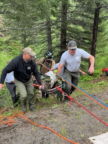 rescue team helping injured man