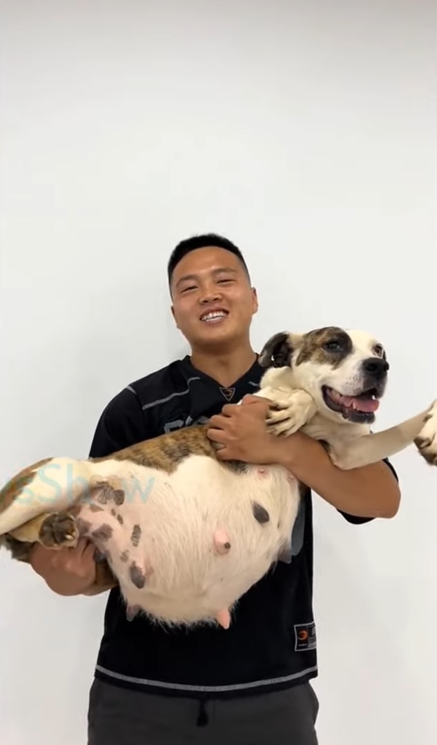 smiling man holding a happy dog in arms