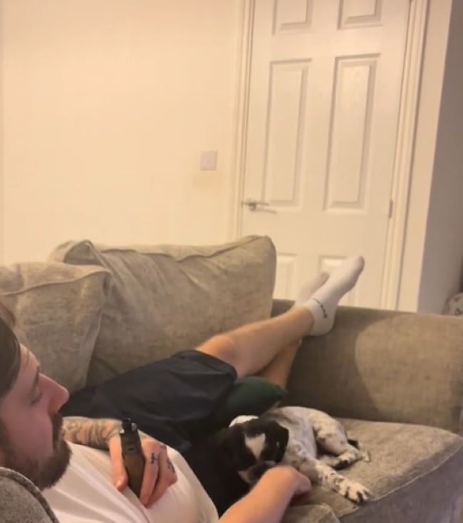 the dog lies next to the owner on the couch