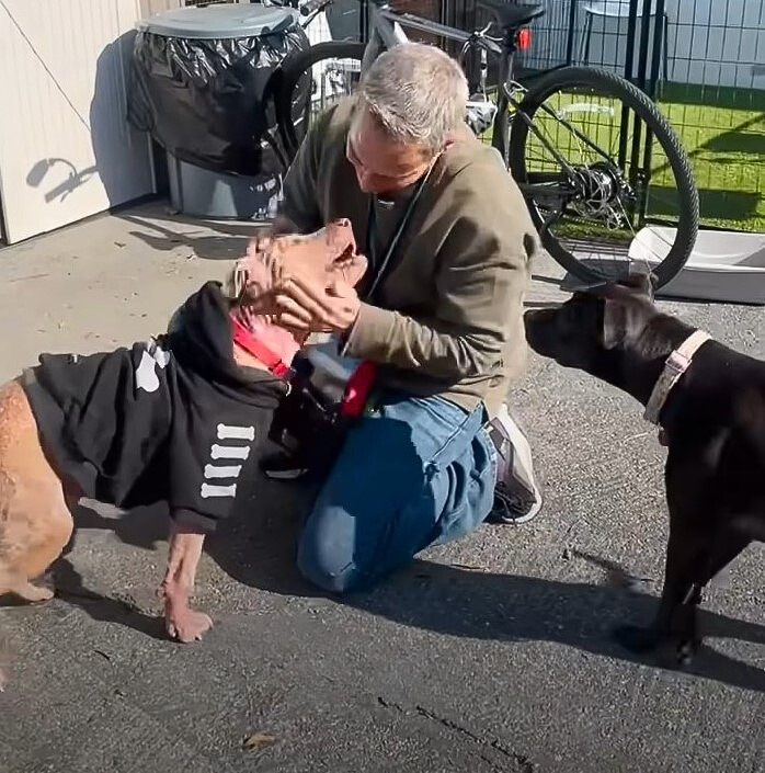 woman and two dogs