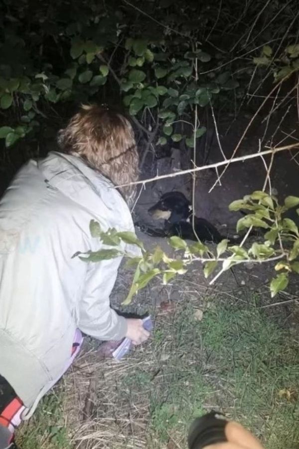 woman found abandoned puppy