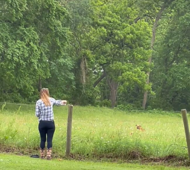 woman pointing to a dog