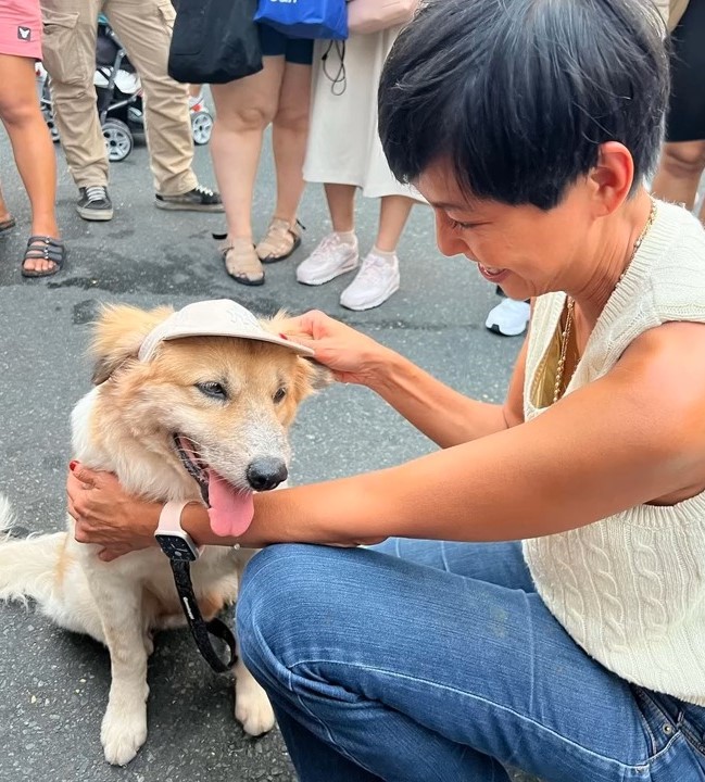 woman putting hat on a dog