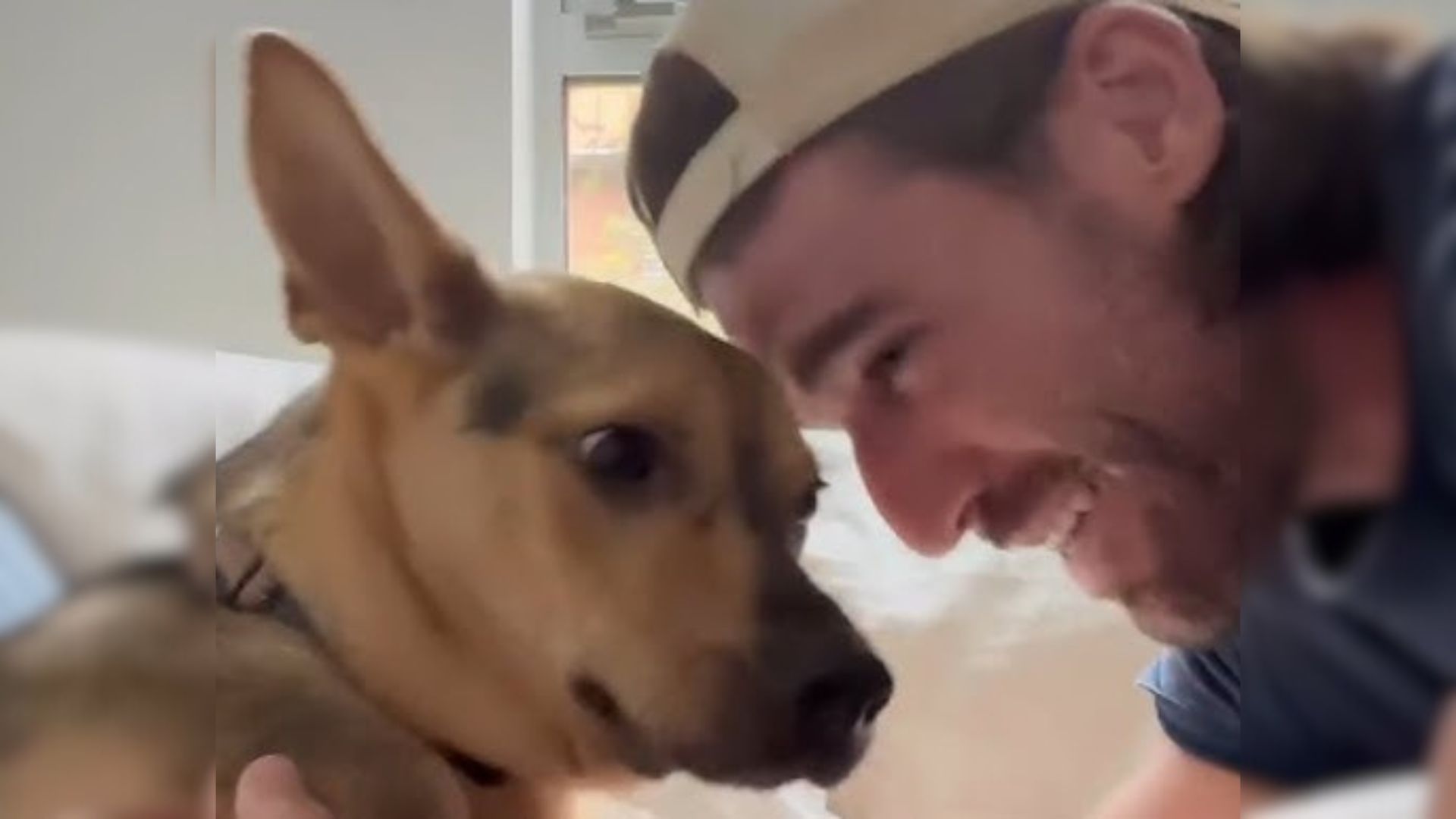 An Affectionate Puppy Heartlessly Dumped In A Desert Steals The Heart Of His Foster Dad